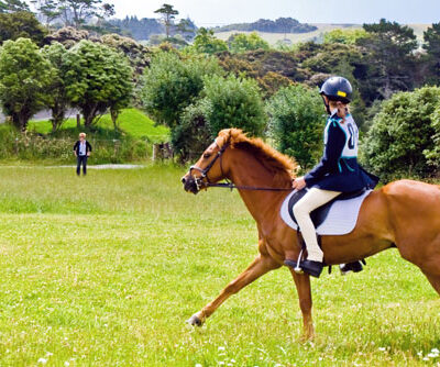 Everything you need to know about horse riding